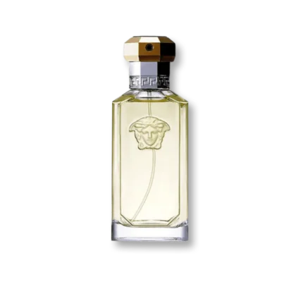 Versace The Dreamer Man Eau de Toilette 100ML